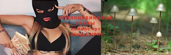 прущие крисы Нефтекумск