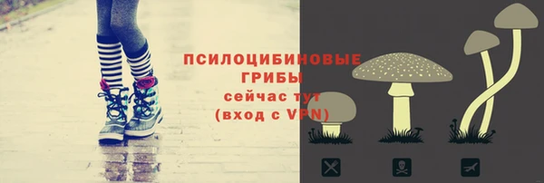 mdpv Вязники