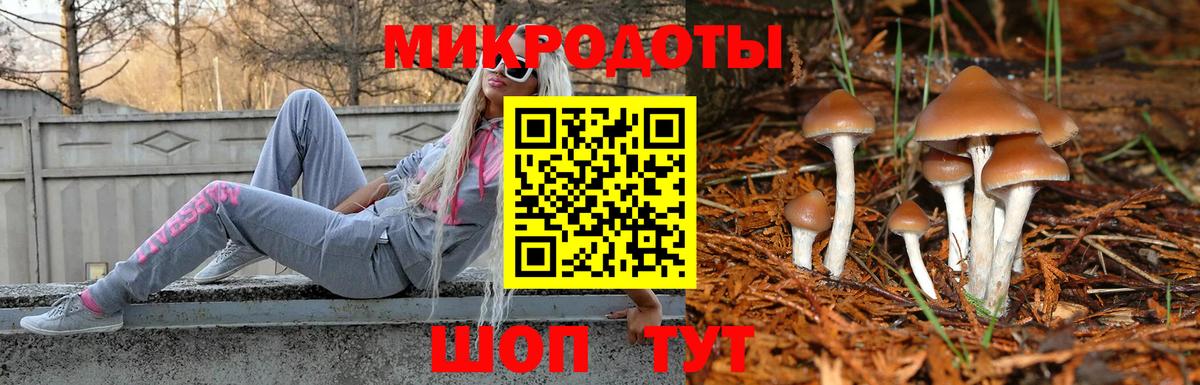Галлюциногенные грибы мицелий  Вход с VPN  Чистополь  Галлюциногенные грибы GOLDEN TEACHER 