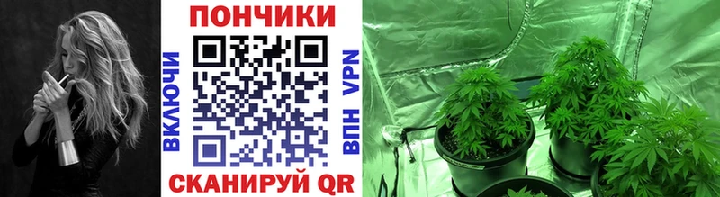 даркнет сайт  Чистополь  Конопля семена 